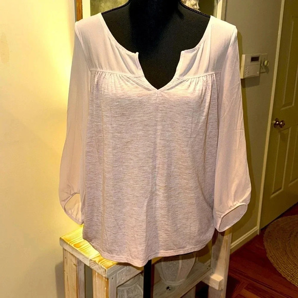 #67 American Eagle Outfitters Pale Pink Sheer sleeve louse Sz Medium - Picture 1 of 6